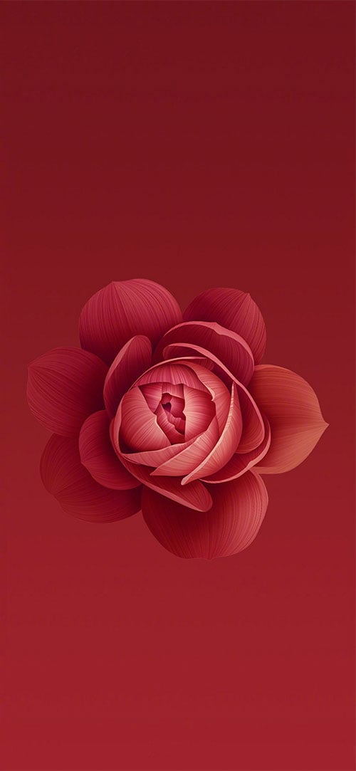 Red-Flower-Apple-iPhone-X-Background