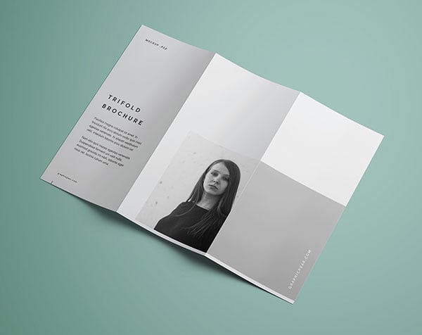 Free-Premium-Tri-Fold-Brochure-Mockup-PSD