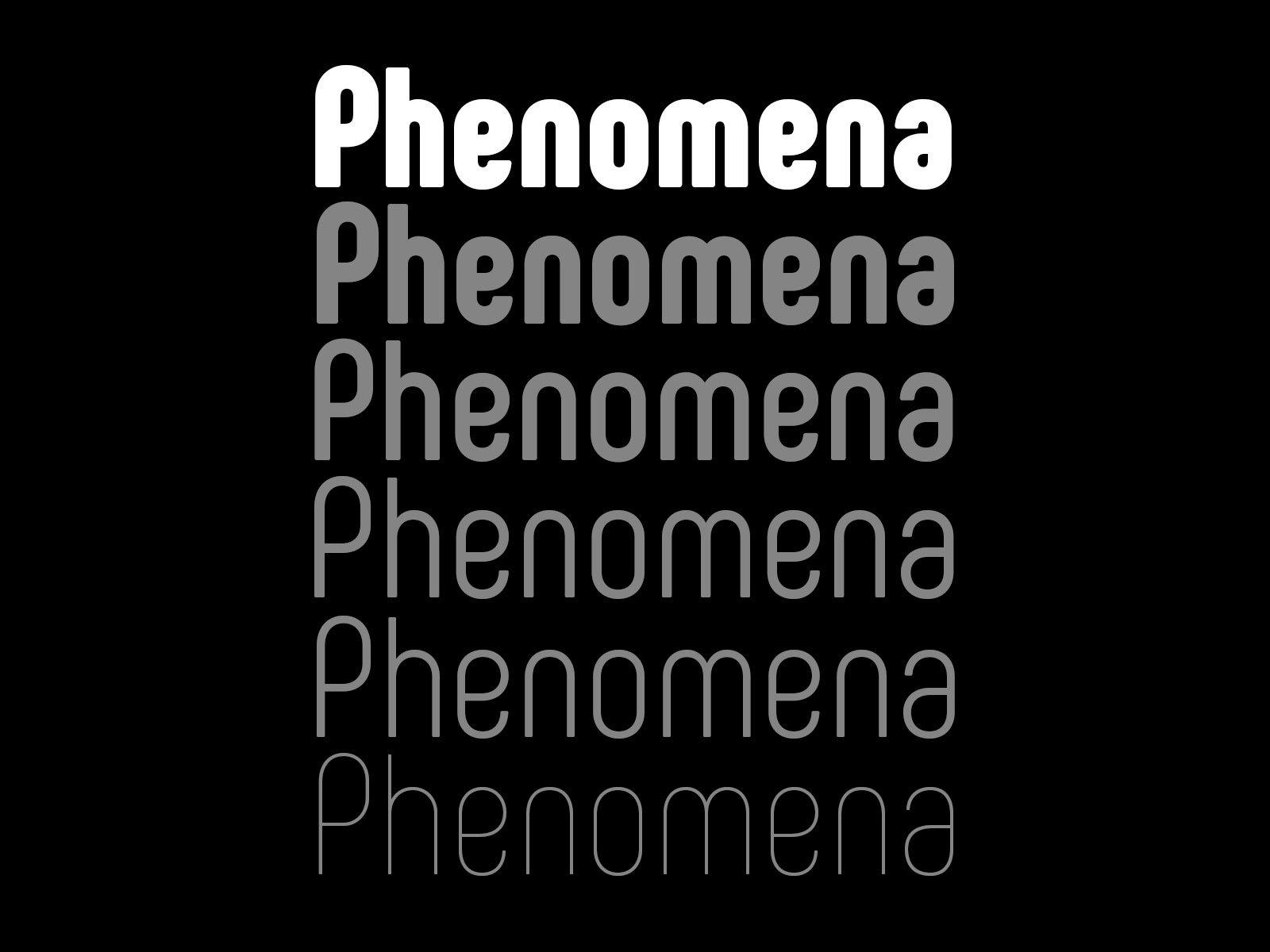 Шрифт phenomena. Sans rounded font Family. Orqquidea Sans Bold. Tenor Sans Bold font.