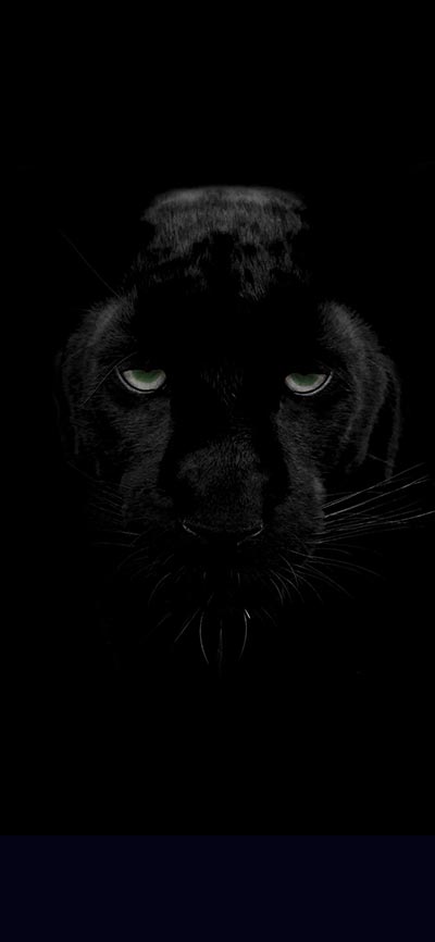 black_panther_iPhone-Xs-Wallpaper