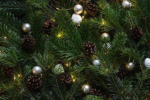 christmas-tree-decor