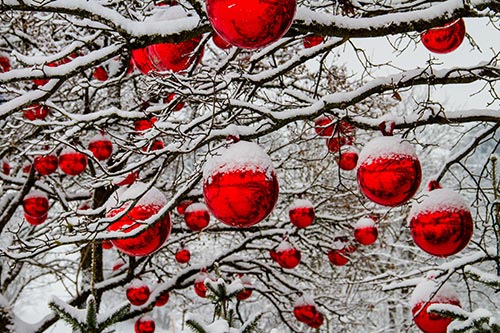 christmas-winter-season-stock-image