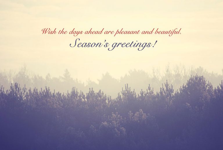 30+ Best Seasons & Christmas Greetings Messages & Quotes For Cards