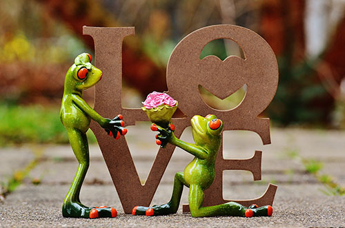 Funny-Love-Proposal-Picture