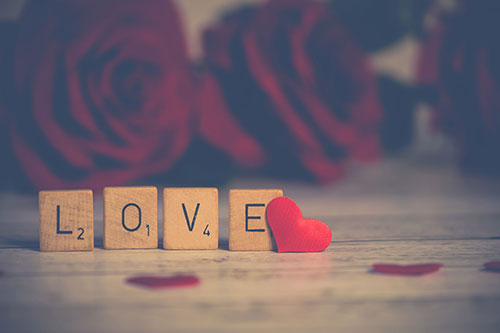 Love-with-Rose-Flowers