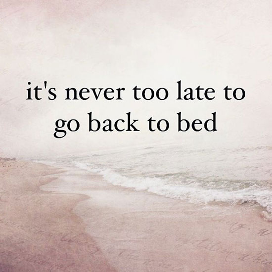Uninspirational-Quotes-for-Calendar-2019-(39)