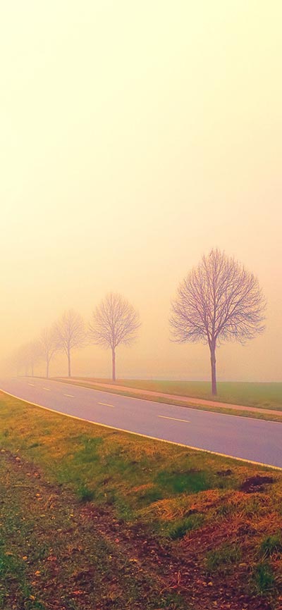 morning_misty_landscape-iPhone-X-Wallpaper