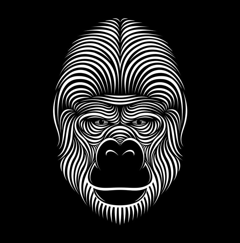 70+ Amazing Line Art Illustrations by Patrick Seymour Designbolts