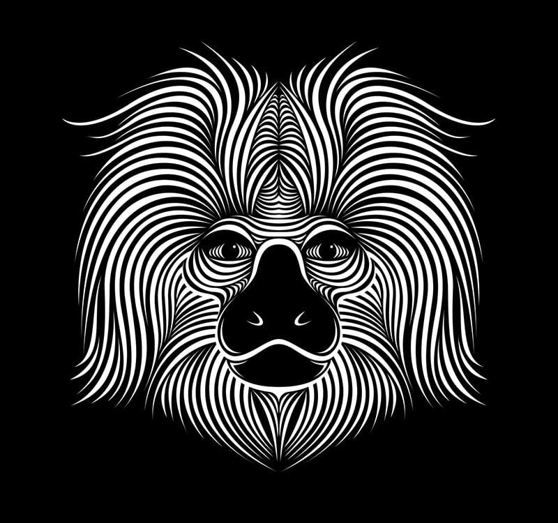 70+ Amazing Line Art Illustrations by Patrick Seymour Designbolts