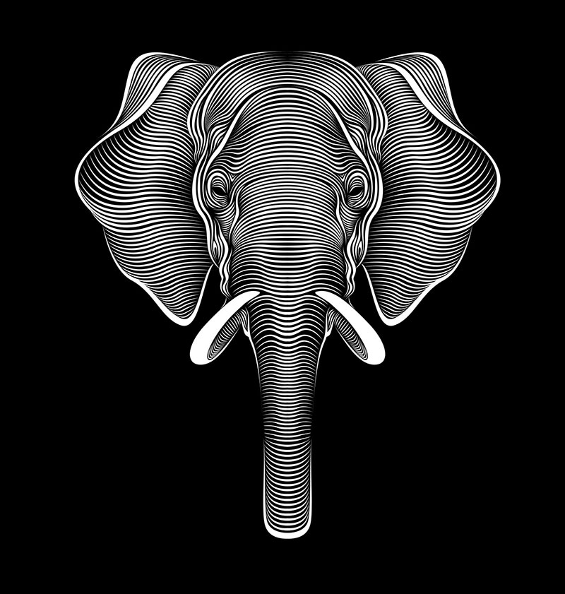 70+ Amazing Line Art Illustrations by Patrick Seymour Designbolts