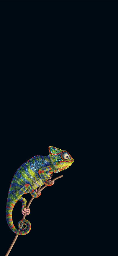 Camelion-Beautiful-iPhone-11-Wallpaper-High-Quality
