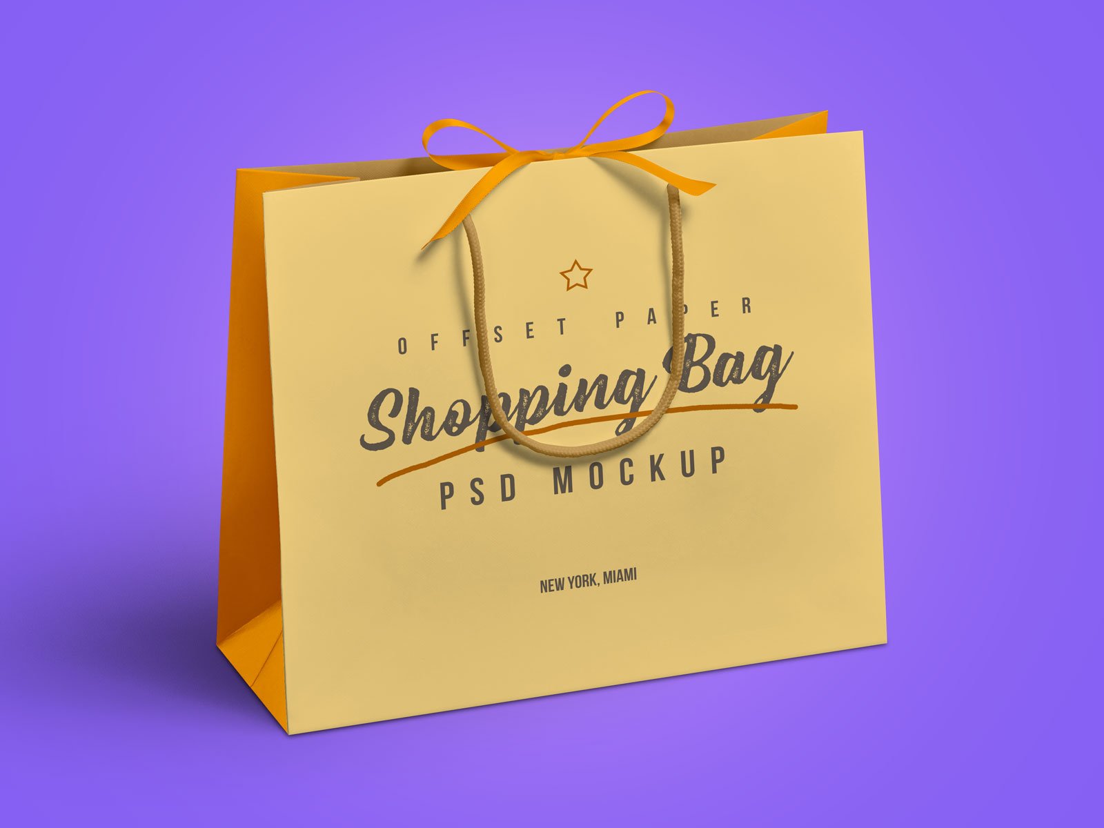 Download Free Grocery Paper Shopping Bag Mockup Psd Designbolts