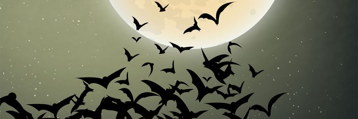 There are various myths surrounding bats those