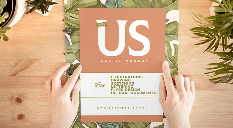 Download Free Hand Holding White Us Letter Paper Mockup Psd Designbolts PSD Mockup Templates