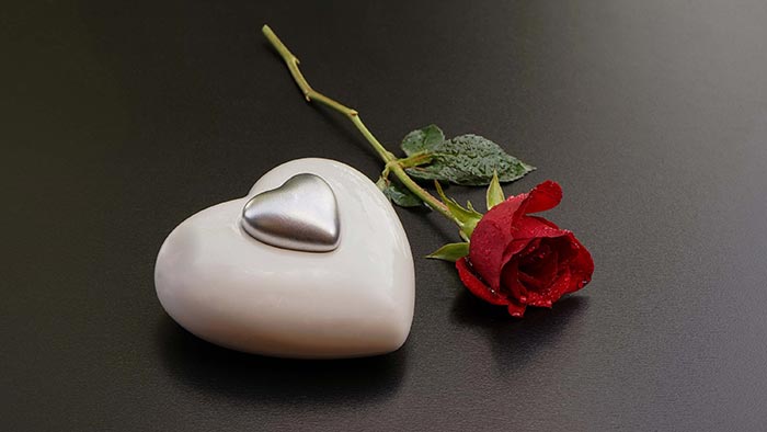 Heart-and-Rose-Stock-Image