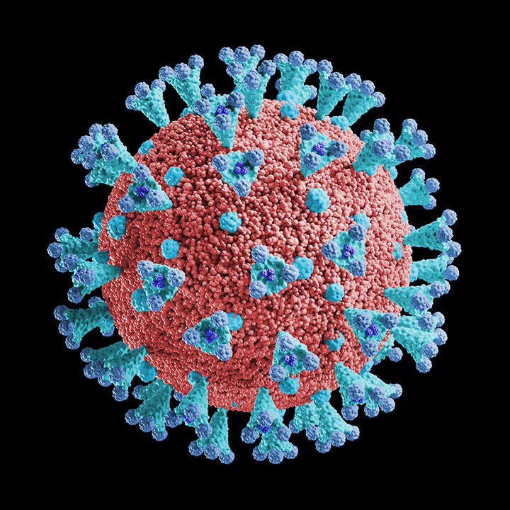 Coronavirus Free Stock Image 2020 Black Background
