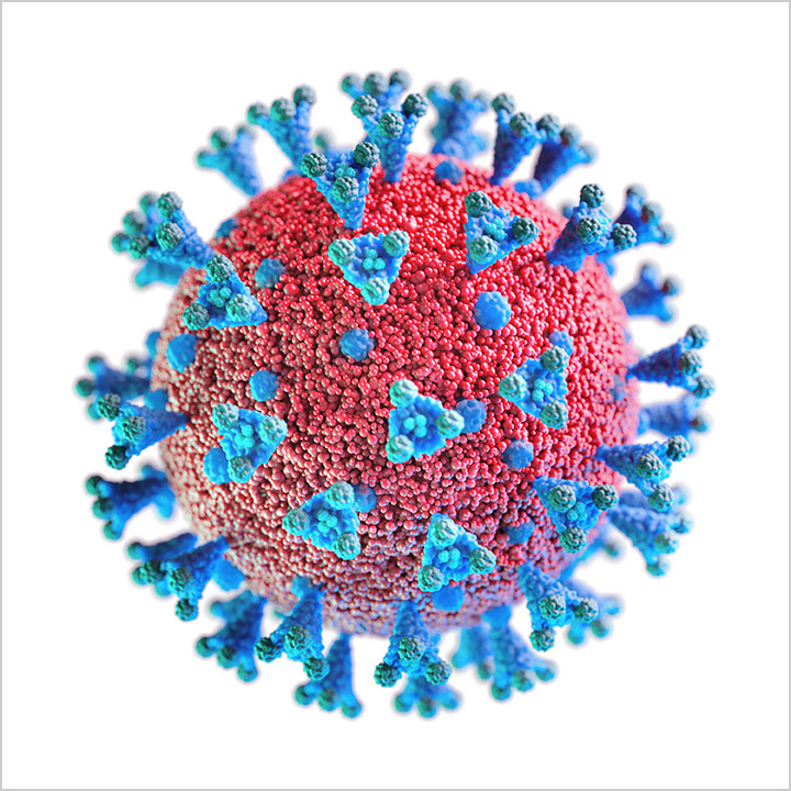 Coronavirus Free Stock Image 2020