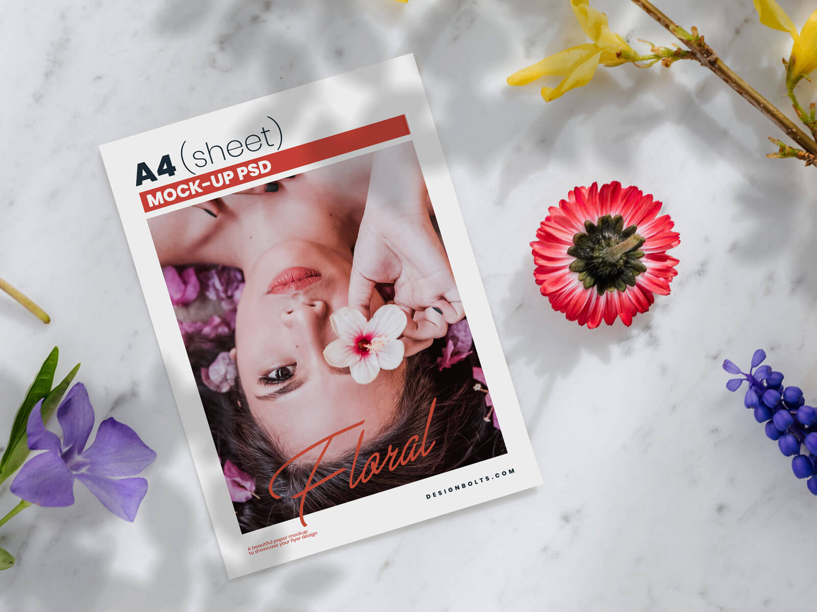 Free Shadow Floral A4 Flyer Mockup Psd Designbolts