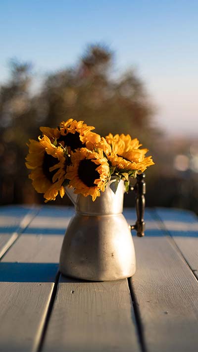 Flower-Pot-High-Quality-4K-Vivo-OPPO-Huawei-Mobile-Wallpaper-2020