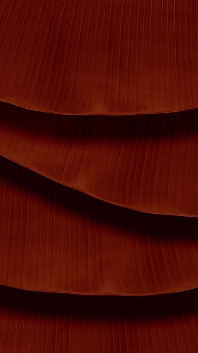 Maroon-High-Quality-4K-Vivo-OPPO-Huawei-Mobile-Background-2020