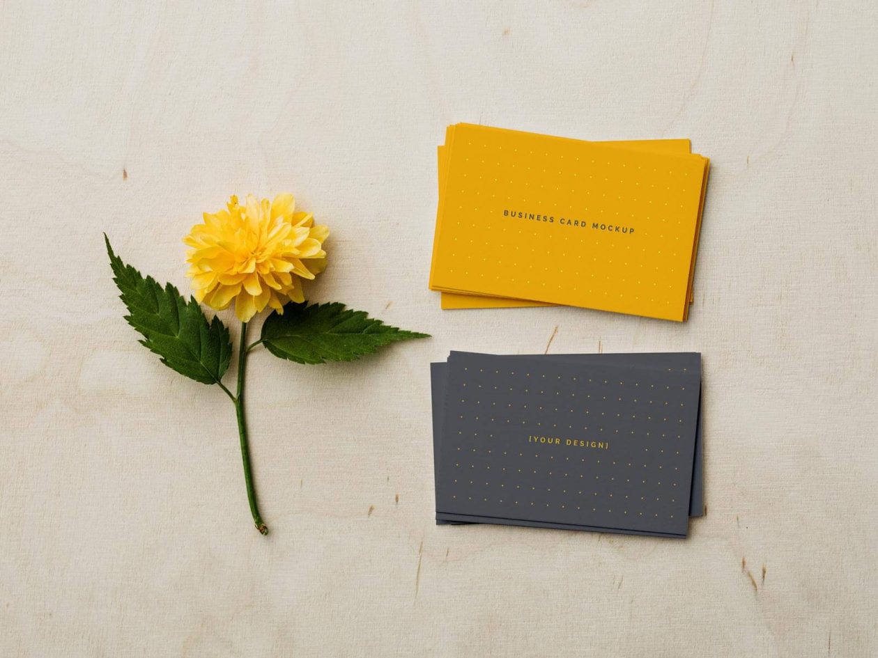 Free Front / Back Business Card Mockup PSD Designbolts