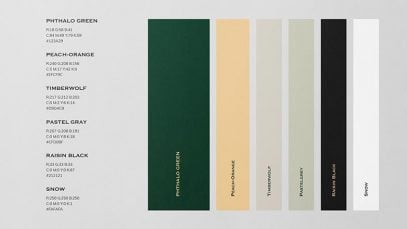 5-Best-Color-Schemes-for-Branding-With-Examples