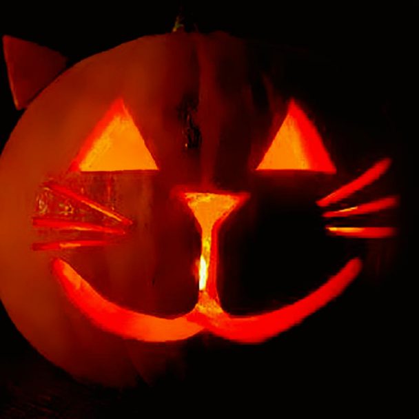 50+ Halloween Scary Simple Pumpkin Carving Ideas 2021 for Kids