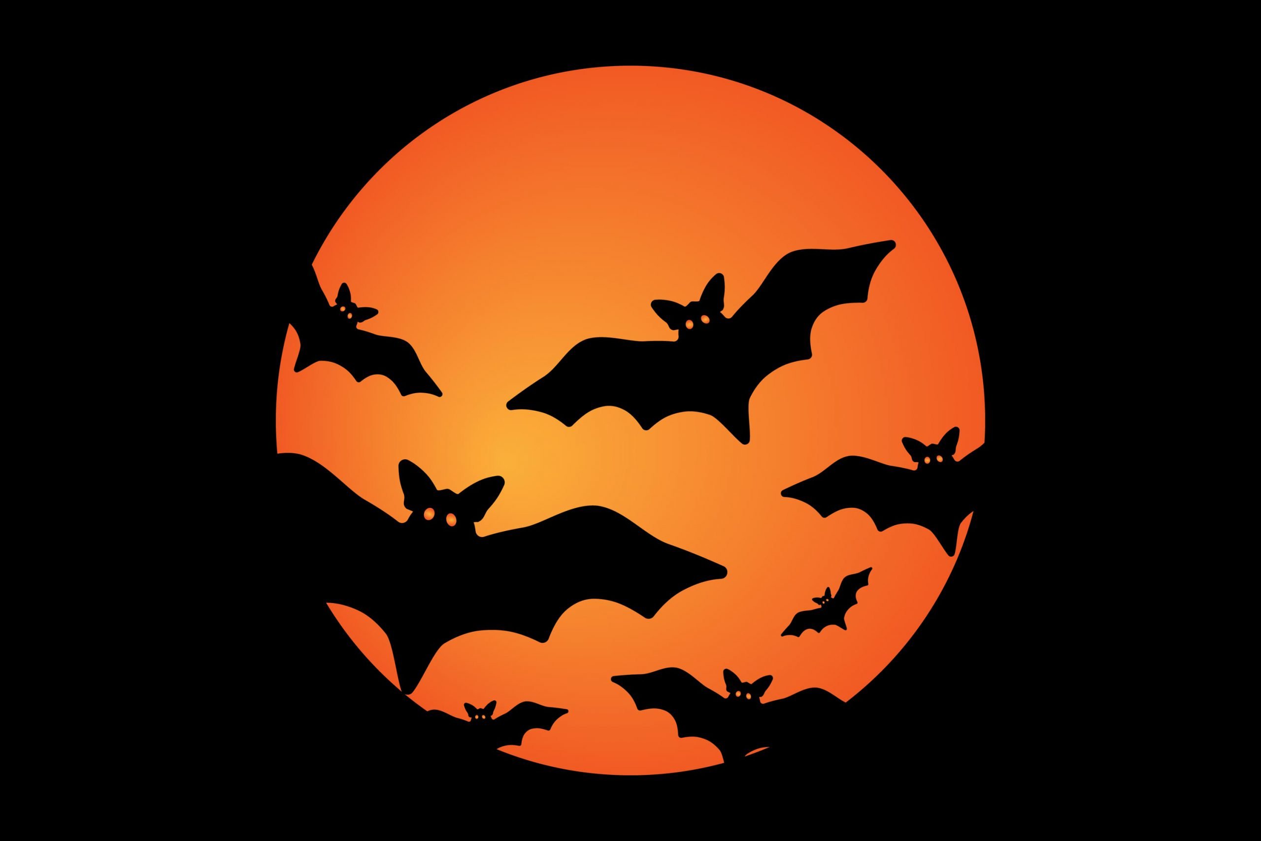 35+ Scary Halloween Wallpapers 2021 HD, Backgrounds, Pumpkin