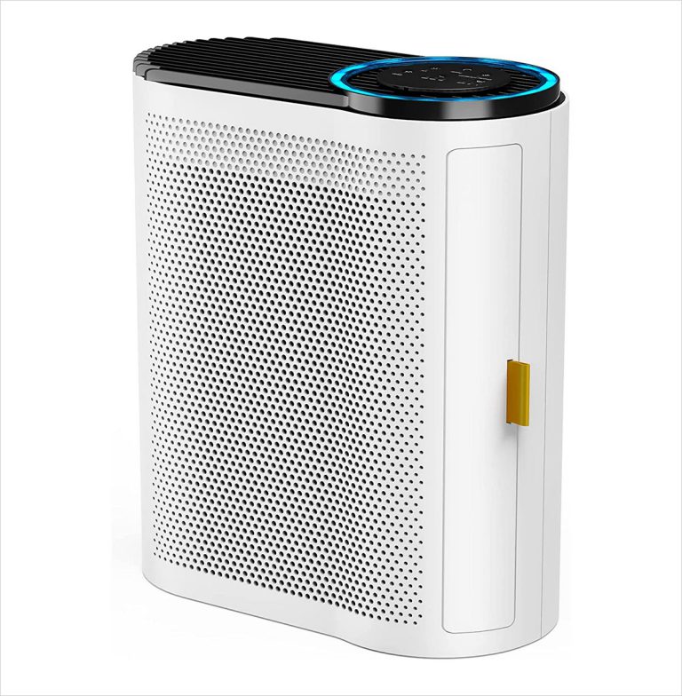 10 Best Value For Money Air Purifiers For Large Rooms Designbolts