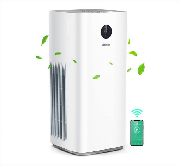 10 Best Value For Money Air Purifiers For Large Rooms Designbolts