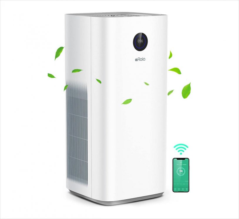 10 Best Value For Money Air Purifiers For Large Rooms Designbolts