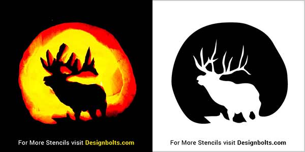20 deer pumpkin stencil